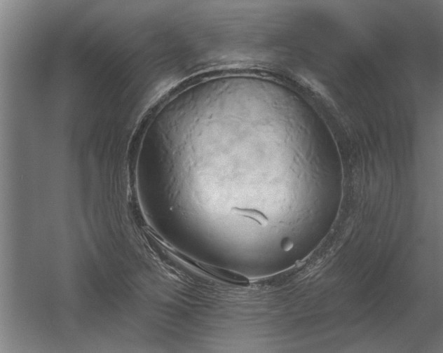 X0000060561267200511070938