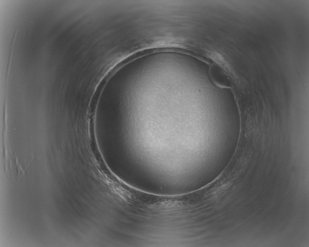 X0000060561268200511070938