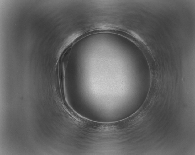 X0000060561269200511070938