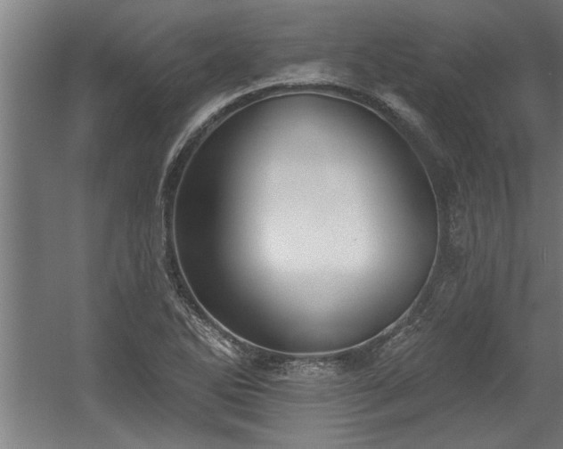 X0000060561270200511070938