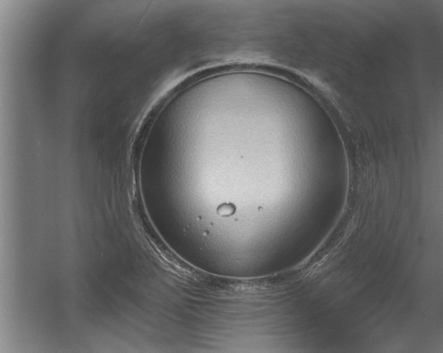 X0000060561271200511070938