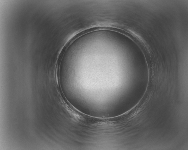 X0000060561272200511070938