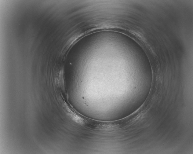 X0000060561273200511070938