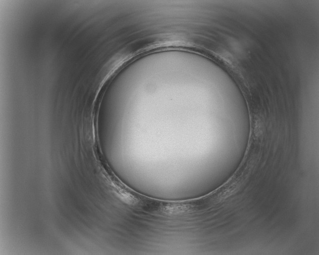 X0000060561274200511070938