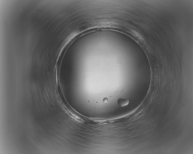 X0000060561275200511070938