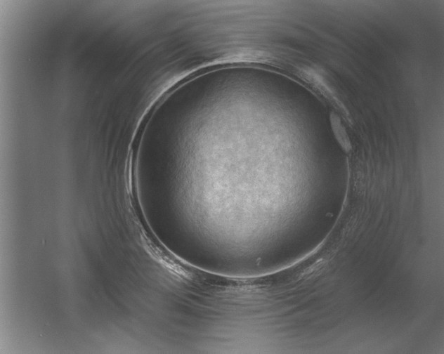 X0000060561276200511070938