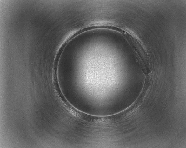 X0000060561277200511070938