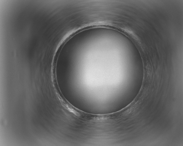 X0000060561278200511070938