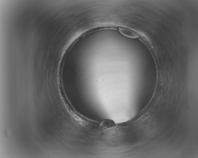 X0000060561279200511070938