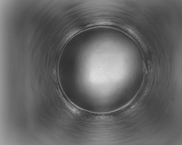 X0000060561281200511070937