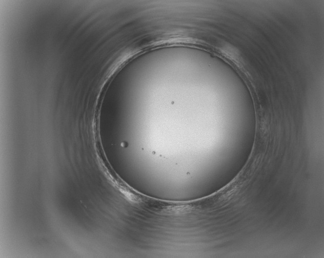 X0000060561282200511070937