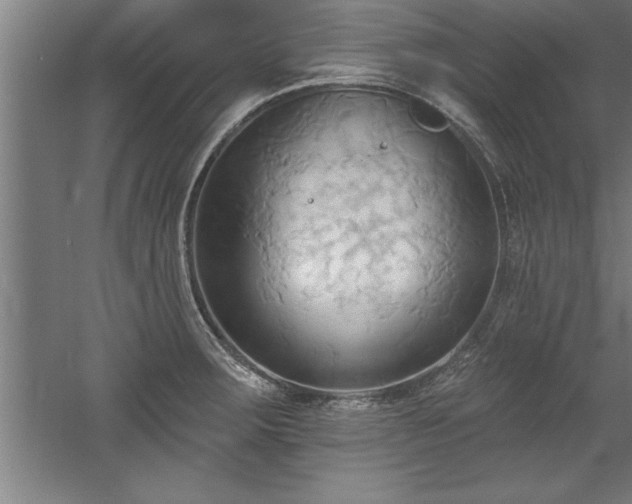 X0000060561283200511070937