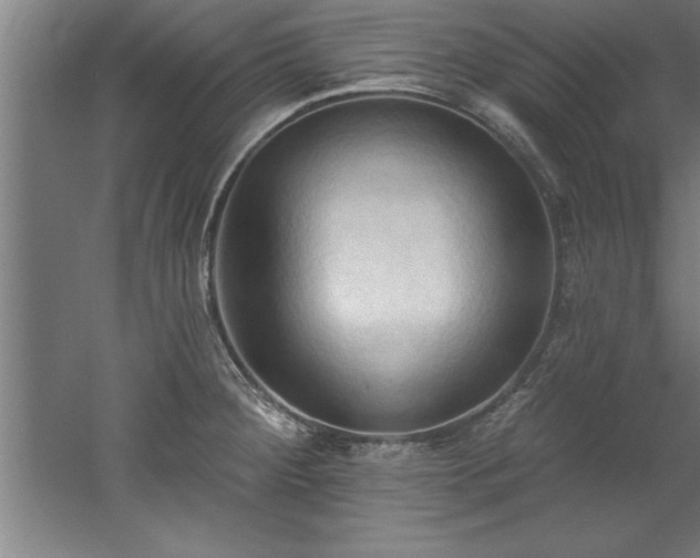 X0000060561284200511070937