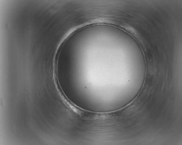 X0000060561286200511070937