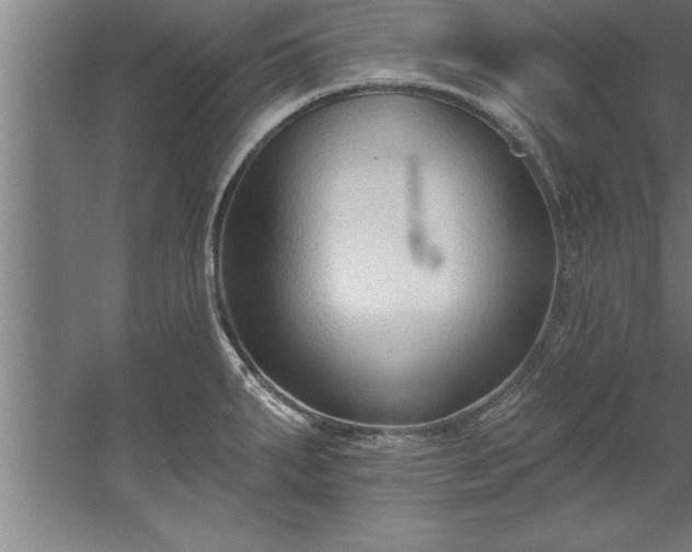 X0000060561287200511070937