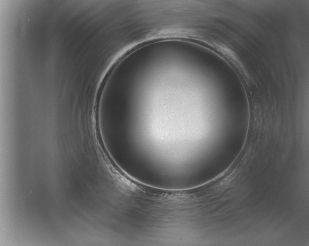 X0000060561288200511070937