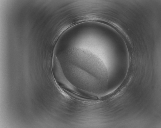 X0000060561289200511070937