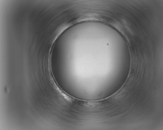 X0000060561290200511070937