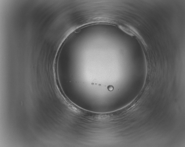 X0000060561291200511070937