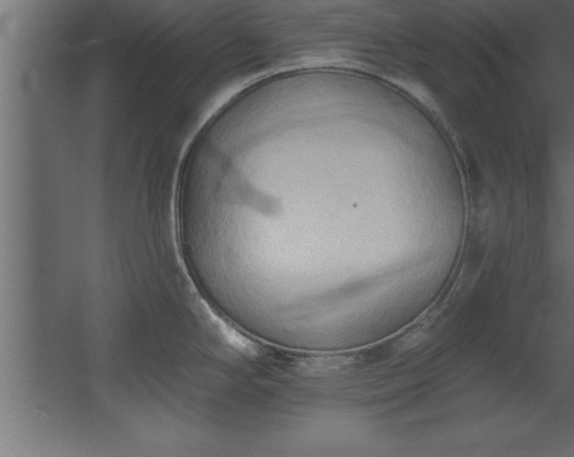 X0000060561294200511070937