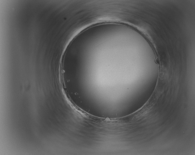 X0000060561295200511070937