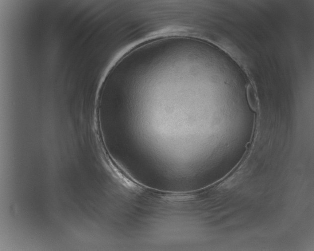 X0000060561296200511070937