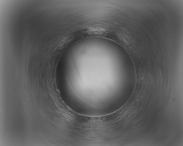 X0000060561297200511070936