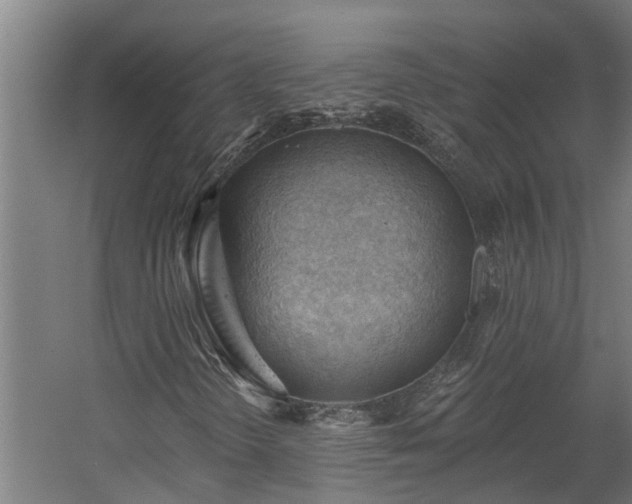 X0000060561298200511070936