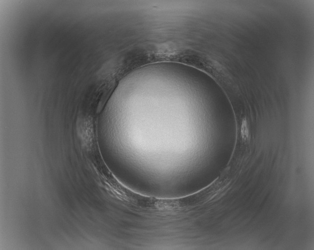 X0000060561299200511070936