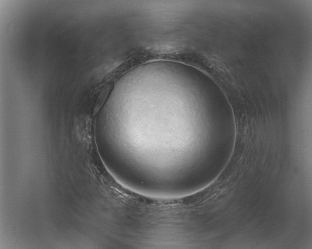 X0000060561301200511070936