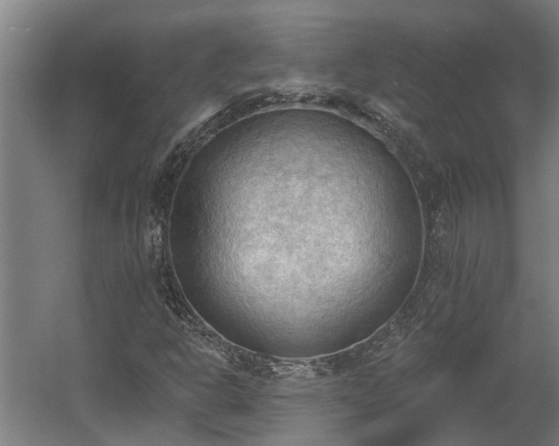 X0000060561302200511070937