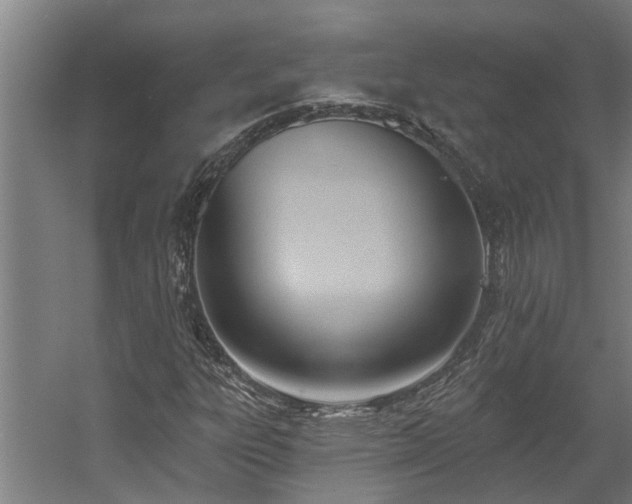 X0000060561303200511070937