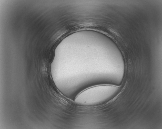 X0000060561305200511070937