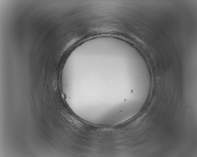 X0000060561306200511070937