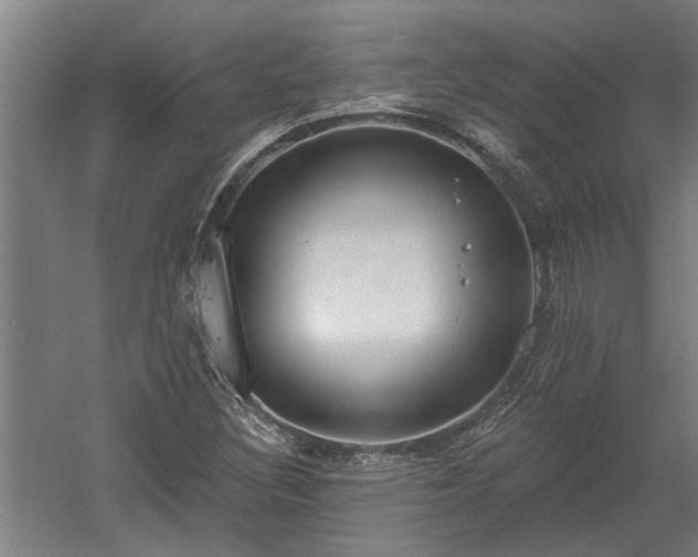 X0000060561308200511070937