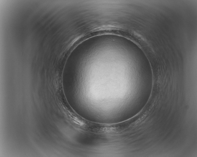 X0000060561313200511070937