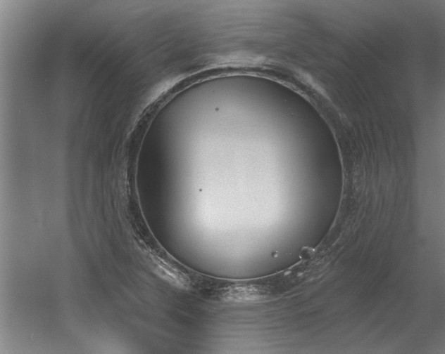 X0000060561315200511070937