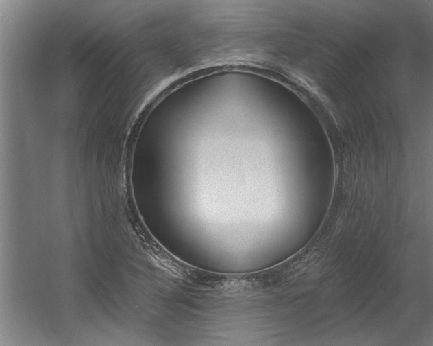 X0000060561316200511070937