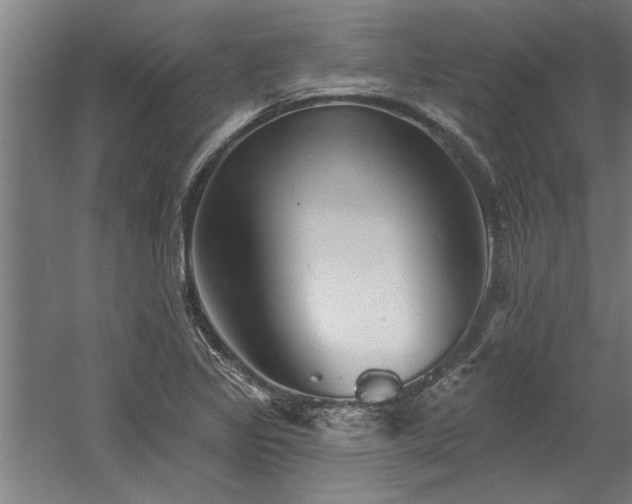 X0000060561317200511070937