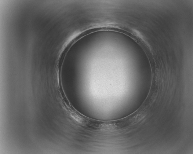 X0000060561320200511070937