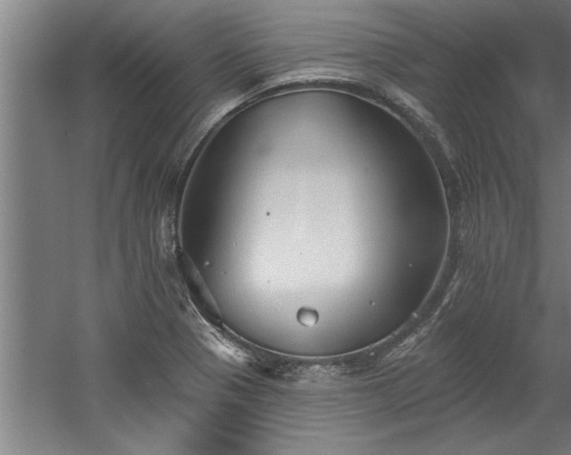 X0000060561321200511070937