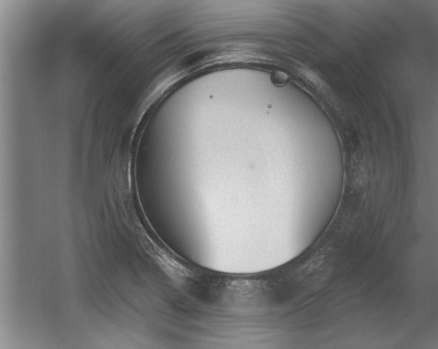 X0000060561322200511070937