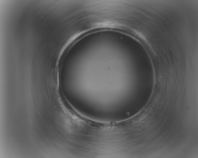 X0000060561323200511070937