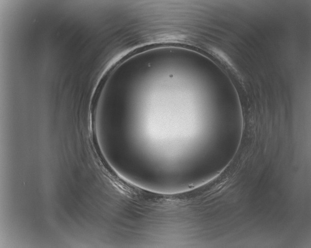 X0000060561324200511070937