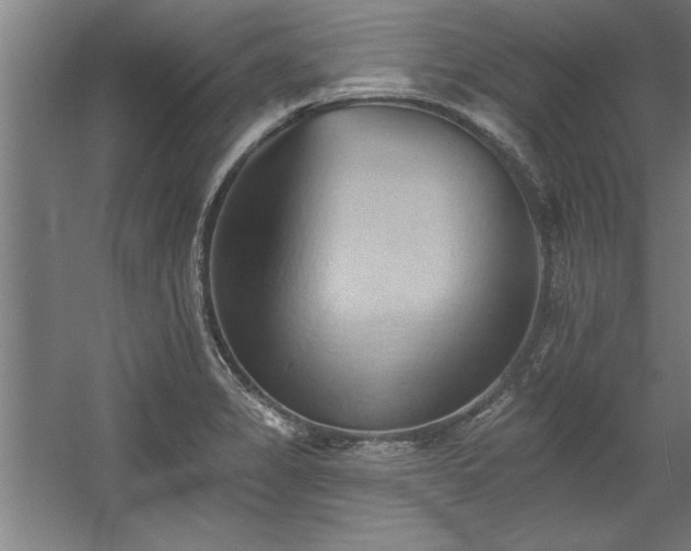 X0000060561325200511070937