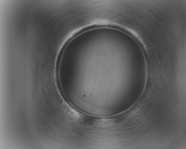 X0000060561327200511070937