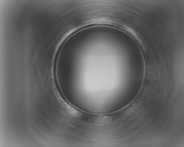 X0000060561331200511070937