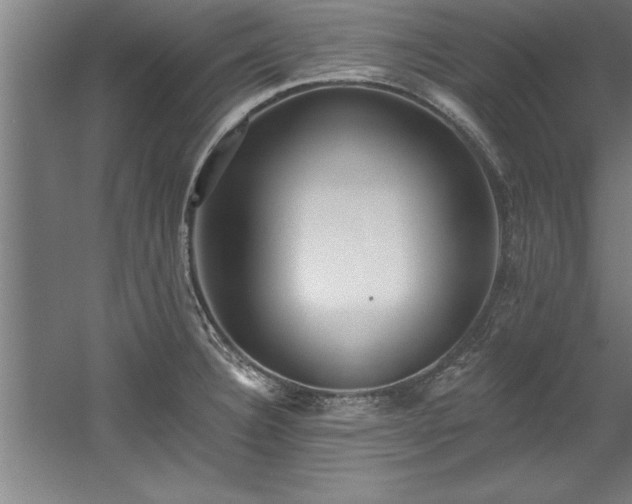 X0000060561332200511070937