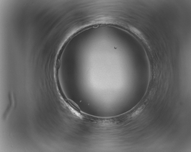 X0000060561334200511070937