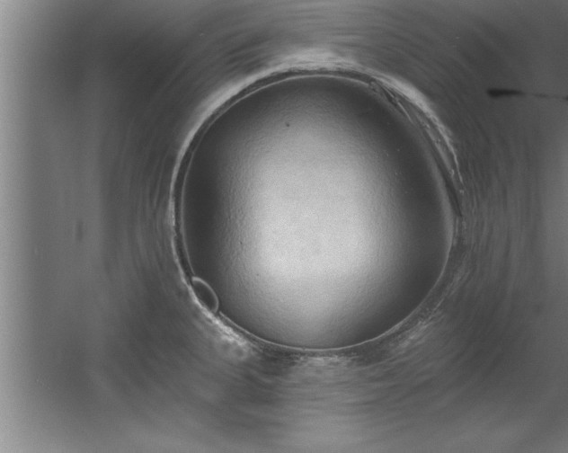 X0000060561335200511070937